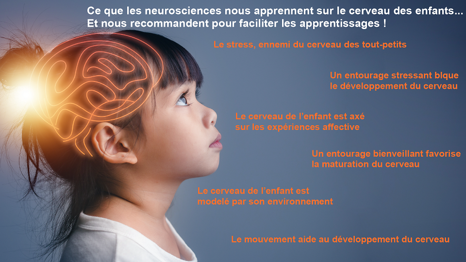 De 0 à 7 ans, que se passe-t-il dans le cerveau de nos enfants ? - France  Bleu